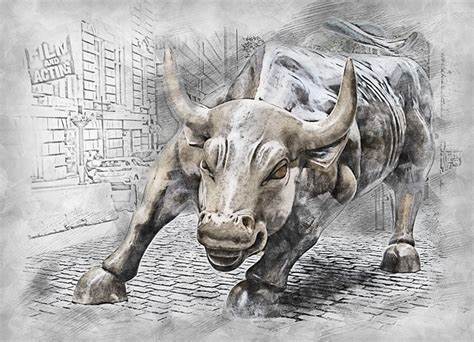 Bull Stock Investor